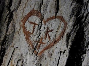 33592_629592963829_3637_n