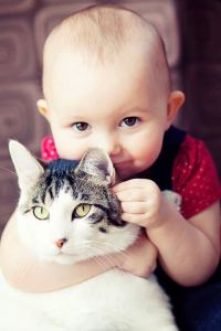 601424_10151500350314131_631196615_n