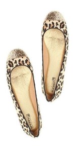 973d998e53f1b77679d34a4ac233918b