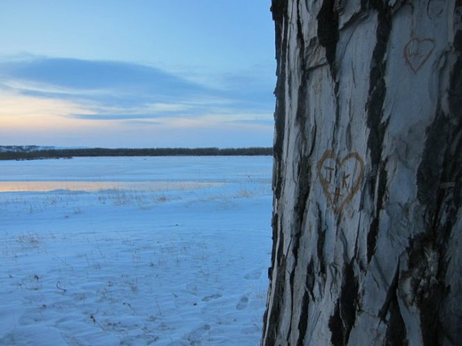 168926_499637674130_8191101_n