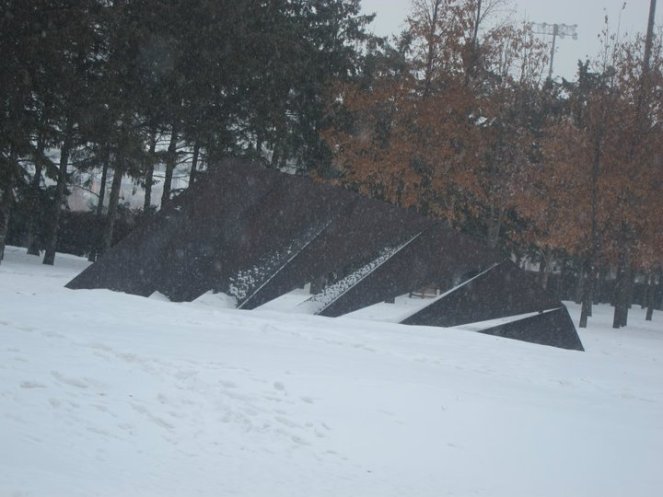 184955_10150101921459131_6932142_n